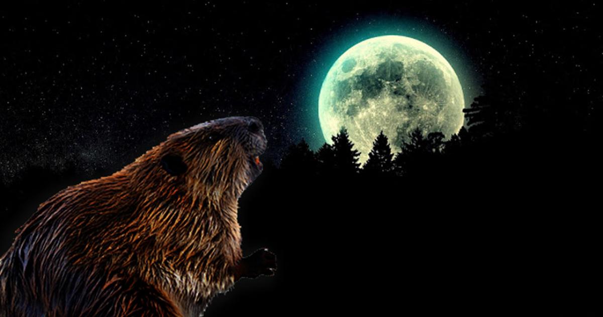 November's "Beaver Moon" Visible Tuesday Night